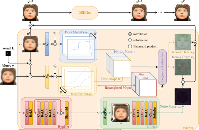 Figure 1 for Learning Discriminative Shrinkage Deep Networks for Image Deconvolution