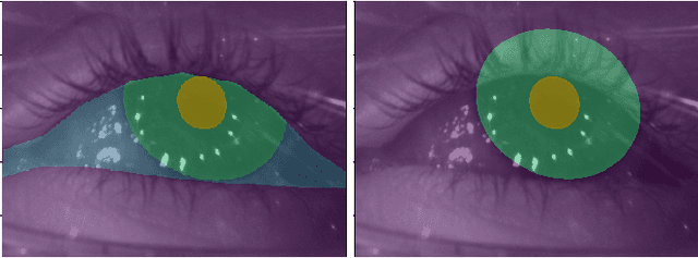 Figure 1 for EllSeg: An Ellipse Segmentation Framework for Robust Gaze Tracking