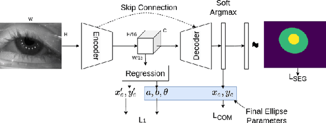 Figure 3 for EllSeg: An Ellipse Segmentation Framework for Robust Gaze Tracking