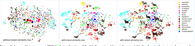 Figure 4 for BARC: Learning to Regress 3D Dog Shape from Images by Exploiting Breed Information