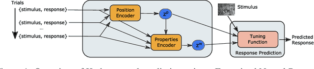 Figure 1 for Factorized Neural Processes for Neural Processes: $K$-Shot Prediction of Neural Responses