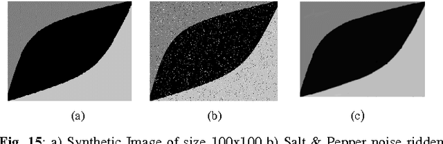 Figure 4 for Kernelized Weighted SUSAN based Fuzzy C-Means Clustering for Noisy Image Segmentation