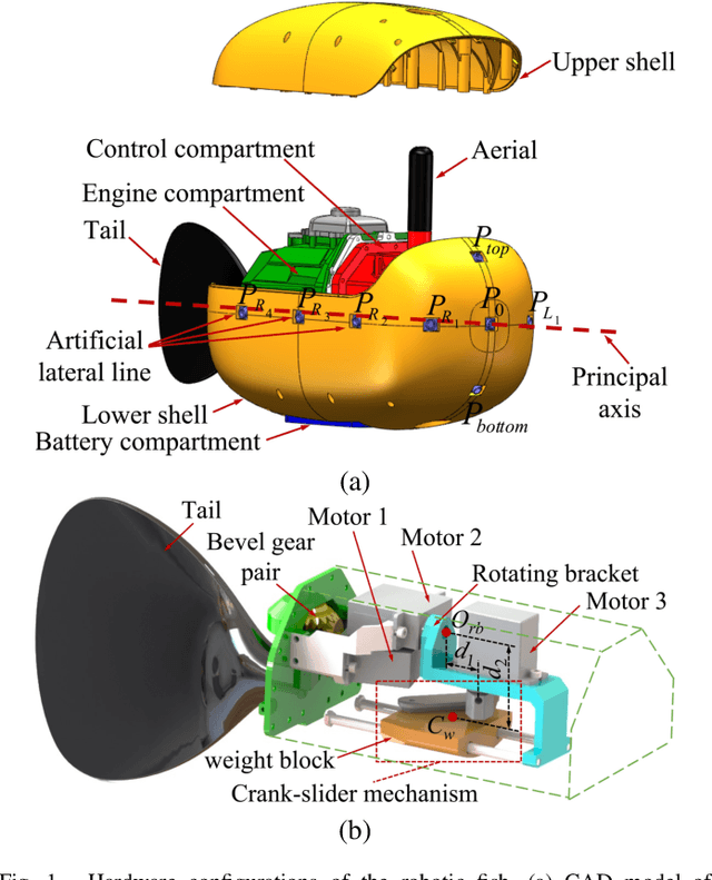 Figure 1 for Three-Dimensional Dynamic Modeling and Motion Analysis for an Active-Tail-Actuated Robotic Fish with Barycentre Regulating Mechanism