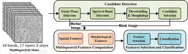 Figure 3 for Multispectral Spatial Characterization: Application to Mitosis Detection in Breast Cancer Histopathology