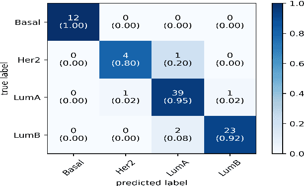 Figure 4 for Deep Learning Based Model for Breast Cancer Subtype Classification