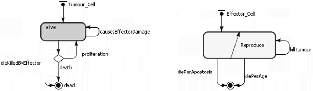 Figure 3 for Investigating Mathematical Models of Immuno-Interactions with Early-Stage Cancer under an Agent-Based Modelling Perspective