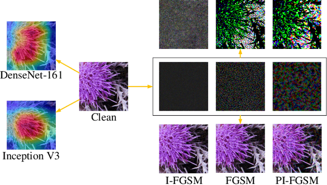 Figure 1 for Patch-wise Attack for Fooling Deep Neural Network