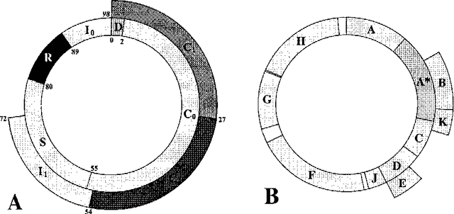 Figure 3 for Evolution of differentiated expression patterns in digital organisms