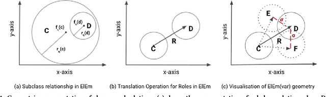Figure 1 for Why Settle for Just One? Extending EL++ Ontology Embeddings with Many-to-Many Relationships
