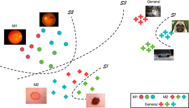 Figure 1 for Evaluation of Various Open-Set Medical Imaging Tasks with Deep Neural Networks
