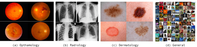 Figure 2 for Evaluation of Various Open-Set Medical Imaging Tasks with Deep Neural Networks