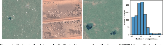 Figure 1 for Counting Cows: Tracking Illegal Cattle Ranching From High-Resolution Satellite Imagery