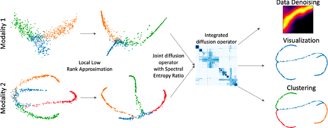 Figure 1 for Multimodal data visualization, denoising and clustering with integrated diffusion