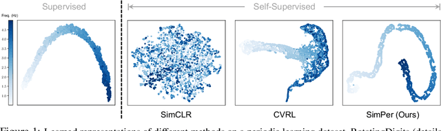 Figure 1 for SimPer: Simple Self-Supervised Learning of Periodic Targets