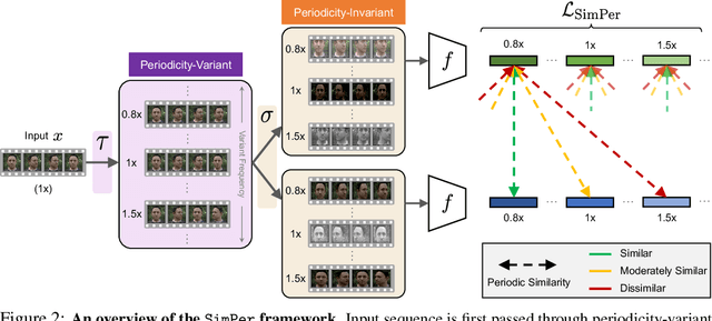 Figure 3 for SimPer: Simple Self-Supervised Learning of Periodic Targets