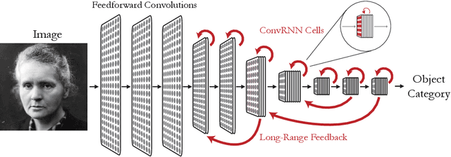 Figure 1 for Task-Driven Convolutional Recurrent Models of the Visual System
