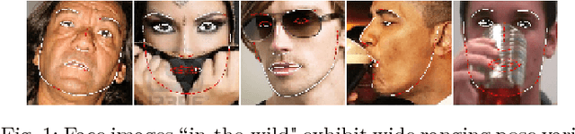 Figure 1 for Face Alignment Robust to Pose, Expressions and Occlusions