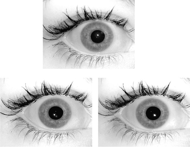 Figure 2 for The ND-IRIS-0405 Iris Image Dataset