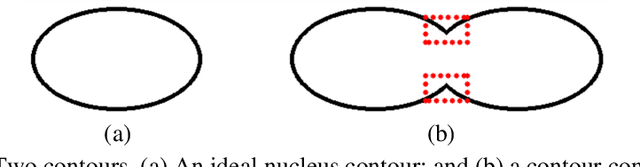 Figure 3 for Bend-Net: Bending Loss Regularized Multitask Learning Network for Nuclei Segmentation in Histopathology Images