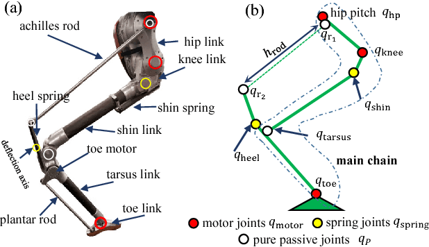 Figure 2 for Bipedal Hopping: Reduced-order Model Embedding via Optimization-based Control