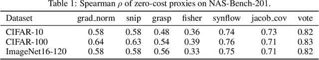Figure 2 for Zero-Cost Proxies for Lightweight NAS
