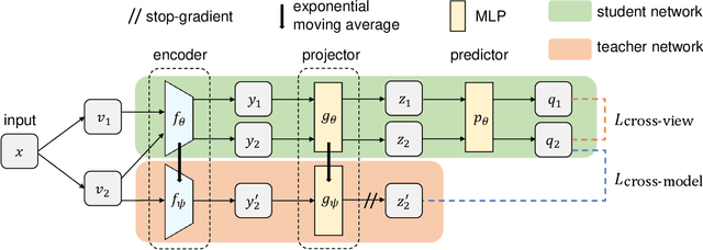 Figure 1 for Self-Supervised Learning for Gastritis Detection with Gastric X-Ray Images