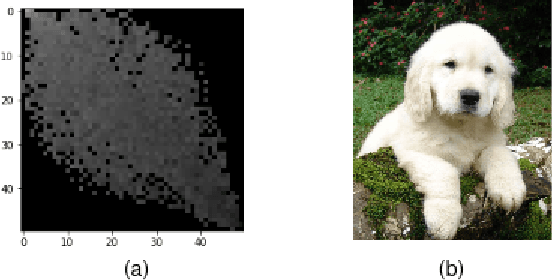 Figure 3 for Classifying Textual Data with Pre-trained Vision Models through Transfer Learning and Data Transformations