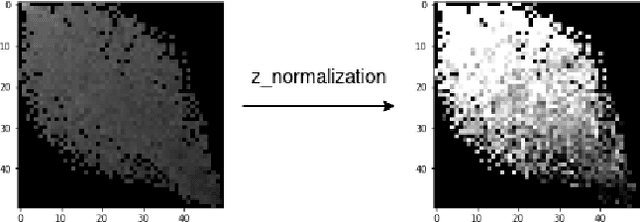 Figure 4 for Classifying Textual Data with Pre-trained Vision Models through Transfer Learning and Data Transformations