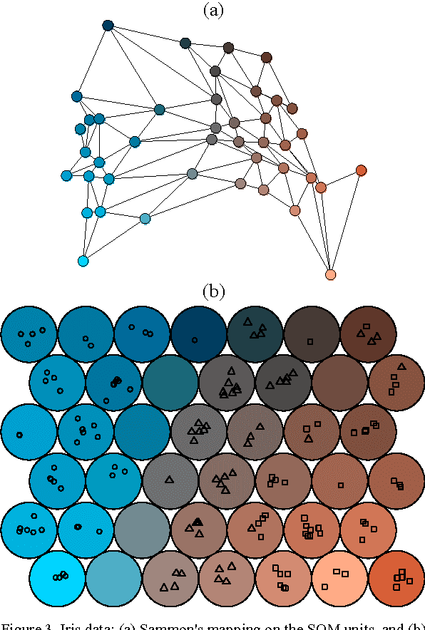 Figure 3 for Cluster coloring of the Self-Organizing Map: An information visualization perspective