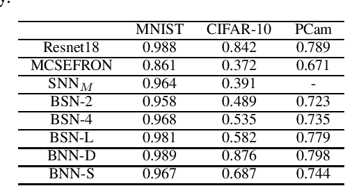 Figure 4 for Exploring the Back Alleys: Analysing The Robustness of Alternative Neural Network Architectures against Adversarial Attacks