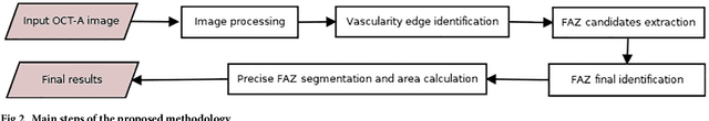 Figure 3 for Automatic segmentation of the Foveal Avascular Zone in ophthalmological OCT-A images