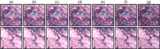 Figure 4 for Hyperspectral Pansharpening Based on Improved Deep Image Prior and Residual Reconstruction