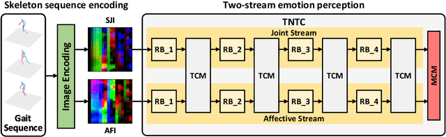 Figure 1 for TNTC: two-stream network with transformer-based complementarity for gait-based emotion recognition