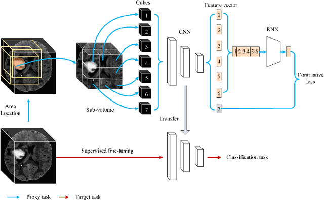 Figure 1 for Embedding Task Knowledge into 3D Neural Networks via Self-supervised Learning