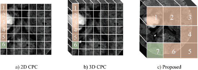 Figure 3 for Embedding Task Knowledge into 3D Neural Networks via Self-supervised Learning
