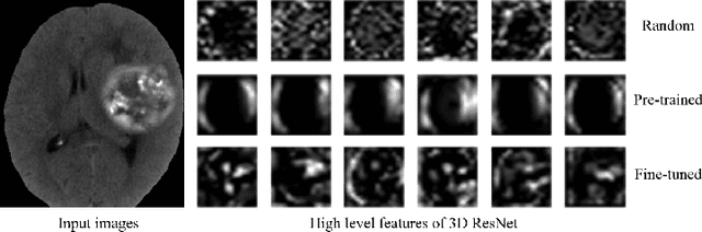 Figure 4 for Embedding Task Knowledge into 3D Neural Networks via Self-supervised Learning