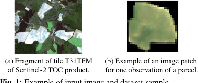 Figure 1 for Time-Space tradeoff in deep learning models for crop classification on satellite multi-spectral image time series