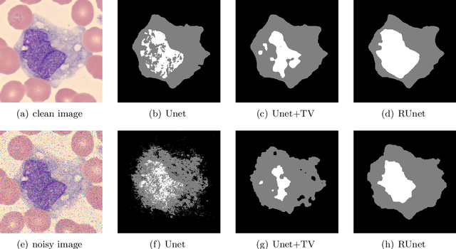 Figure 1 for A Regularized Convolutional Neural Network for Semantic Image Segmentation