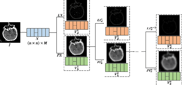 Figure 3 for A Medical Image Fusion Method based on MDLatLRRv2