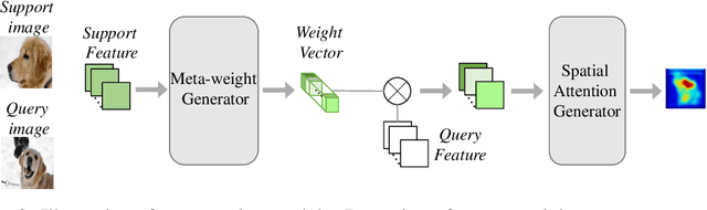 Figure 3 for Few-shot Classification via Adaptive Attention