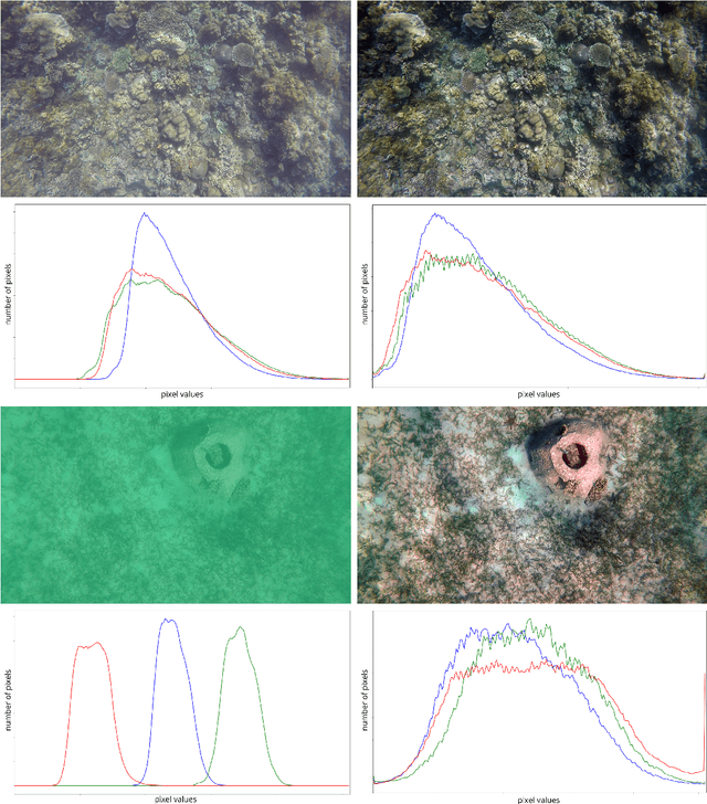 Figure 2 for Automated Stitching of Coral Reef Images and Extraction of Features for Damselfish Shoaling Behavior Analysis