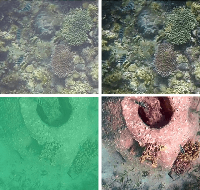 Figure 3 for Automated Stitching of Coral Reef Images and Extraction of Features for Damselfish Shoaling Behavior Analysis