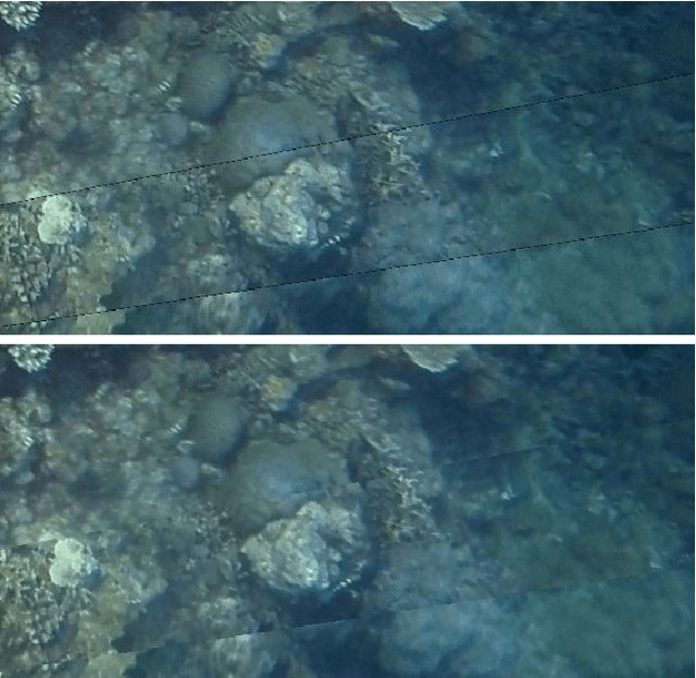 Figure 4 for Automated Stitching of Coral Reef Images and Extraction of Features for Damselfish Shoaling Behavior Analysis