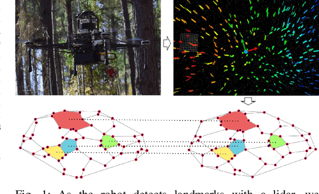 Figure 1 for Place Recognition in Forests with Urquhart Tessellations