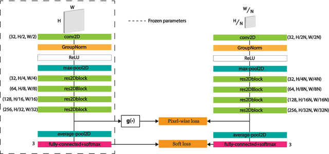 Figure 3 for Resolution-Based Distillation for Efficient Histology Image Classification