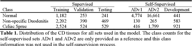 Figure 2 for Resolution-Based Distillation for Efficient Histology Image Classification