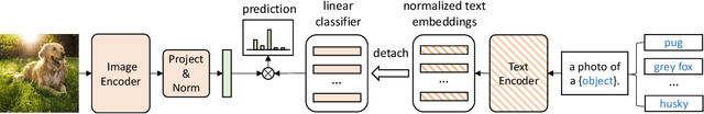 Figure 1 for Masked Unsupervised Self-training for Zero-shot Image Classification