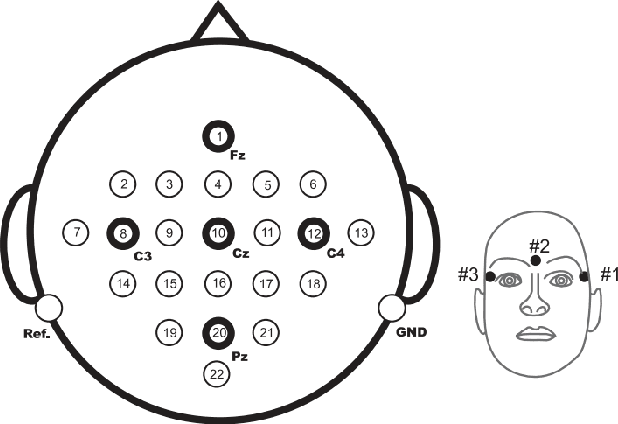 Figure 3 for The evolution of AI approaches for motor imagery EEG-based BCIs