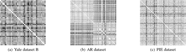 Figure 3 for Dimensionality Reduction with Subspace Structure Preservation