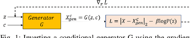 Figure 1 for Adversarially Robust Classification by Conditional Generative Model Inversion